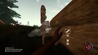 3 Dummies Try to Survive in a Forest
