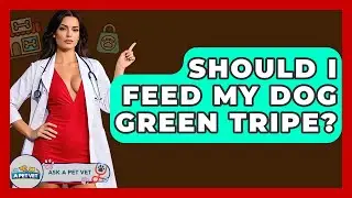Should I Feed My Dog Green Tripe? - Ask A Pet Vet