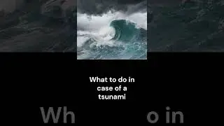 what to do in case of tsunami #joke