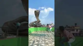 Black Giant Dangerous Snake Vs Man | Nagin viral vfx video | Nagin attacking man