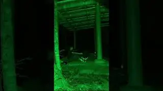Test of Courage Pt 1
