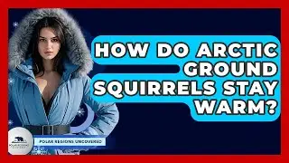 How Do Arctic Ground Squirrels Stay Warm? - Polar Regions Uncovered