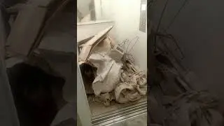 Мусор в лифте остановил работу офисного здания