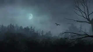 DARK FOREST ANIMATION
