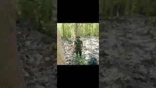 lagu bahasa biak 2021