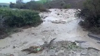 أجي تشوفو   الواد منابها🏞️🏞️ الله يدير تاويل خير