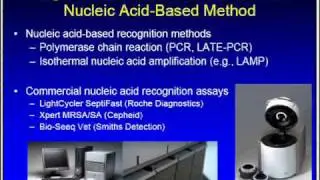 Real-Time Multiplexed Nucleic Acid Recognition for Bacterial and Fungal Pathogen Detection