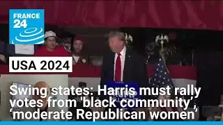 Harris must rally votes from &lsquo;black community&rsquo;, &lsquo;moderate Republican women&rsquo;, journalist says