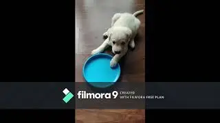 Frisbee time