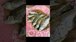Что такое споровские семечки? Уникальная традиция сушки рыбы #food  #cooking #shorts