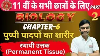 स्थायी ऊतक - पुष्पी पादपों की शारीर || Class 11th Biology permanent infection ||