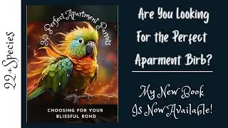 Is There a GOOD Apartment Parrot? How About 30?!? | #parrot_bliss #apartment #bird #pets