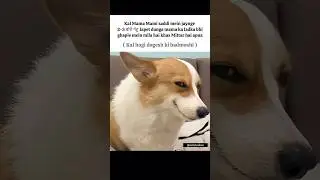 Dogesh #memes #popular #viral #funnymemes #tweetreels