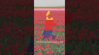 Introducing North Holland (Noord-Holland) #geography #mapping #noordholland