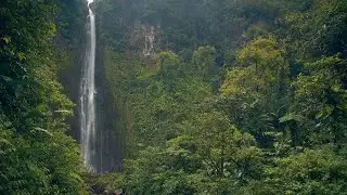 Journey to Guain&iacute;a (Original Tribal Trap Song) [2023]