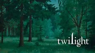 Twilight: rainy forest aesthetic (a playlist)
