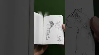 pro vs hacker 😼 #flipbook  #sillycat  #funnycatsvideos  #crazycat #blehyoutube  #meowe  #cat