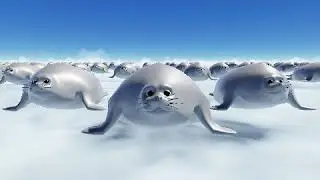 hello cro short vid idk