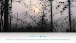 Giancarlo Nicolai Streicher Streich 8