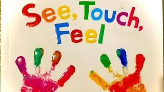 🖐️🖐🏼🖐🏾 SEE, TOUCH, FEEL | Preschool Learning | Bilingual | Read Aloud for toddlers