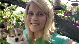 A personal message to Calaveras County's #EssentialWorkers from BARBARA NIVEN