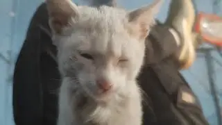 pikachu live