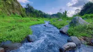 Sleep Soundly with Calming River Sounds & Views of Flowing Water Over Rocks in a Peaceful Forest