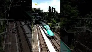 Bird Solves Problem 🐦🚄