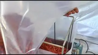 Vacuum pack machine for 5 kg 10 kg 15 kg 25 kg and 50 kg bag