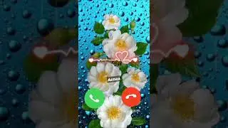 Best iPhone Ringtone Remix #iphone #ringtone #arshia0953 #youtubeshorts #callringtone #shorts #short