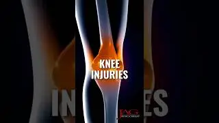 Field Hockey Knee Injury Prevention Exercises (Trailer) #physicaltherapy #fieldhockey #shorts