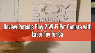 Review Petcube Play 2 Wi-Fi Pet Camera with Laser Toy for Cats & Dogs, 1080P HD Video, 160&deg; Full-Roo