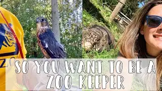 How to Become a Zoo Keeper // Requirements, College, Internships
