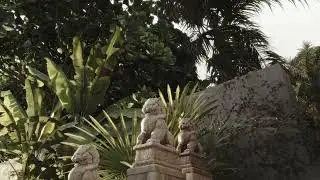 B&B Italia Erica - Video