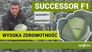 Successor F1 - gwarancja sukcesu