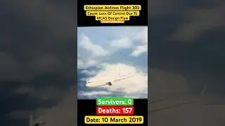 Boeing 737 MAX 8 Crashes