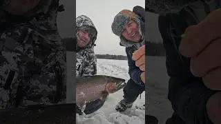 BENT HOOK vs GIANT ICE TROUT #IceFishing#RainbowTrout#AlbertaFishing