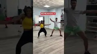 Let&rsquo;s dance 🕺 #bollywood #cats #choreography