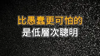 真正的高手，都能夠用智慧來選路，而不是小聰明｜比愚蠢更可怕的，是低層次聰明｜思維密碼｜人生感悟