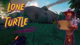LONE TURTLE, SNAKE ISLAND