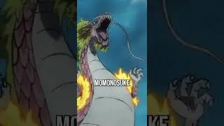 How Strong Is Adult Momonosuke One Piece
