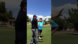 Transfer of Skills