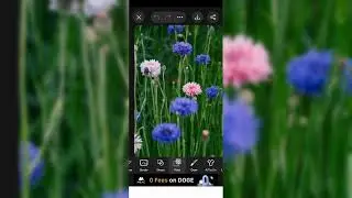 Kelas Master Pengeditan Warna Potret HDR Photoshop | Tampilan 4K Canon R5🔥#n925k#956