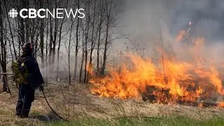 The art of the burn: How controlled fires in northeastern Alberta help mitigate wildfire risk
