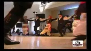 Priniotis - Viglatores