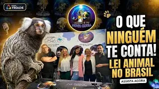 A&ccedil;&otilde;es fundamentais para a Prote&ccedil;&atilde;o e bem-estar animal em nossa regi&atilde;o.​ #bemestaranimal #animais 