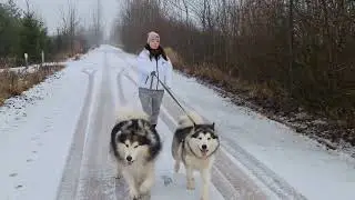 🐶🐶 Do you have TWO pups who love walk time as much as you do?