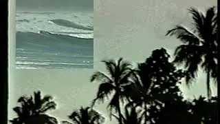 Tropical Hi-Fi - Island Magic