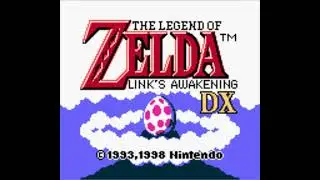 Link's Awakening: Level 6 - Face Shrine