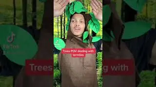 Trees POV dealing with Termites
